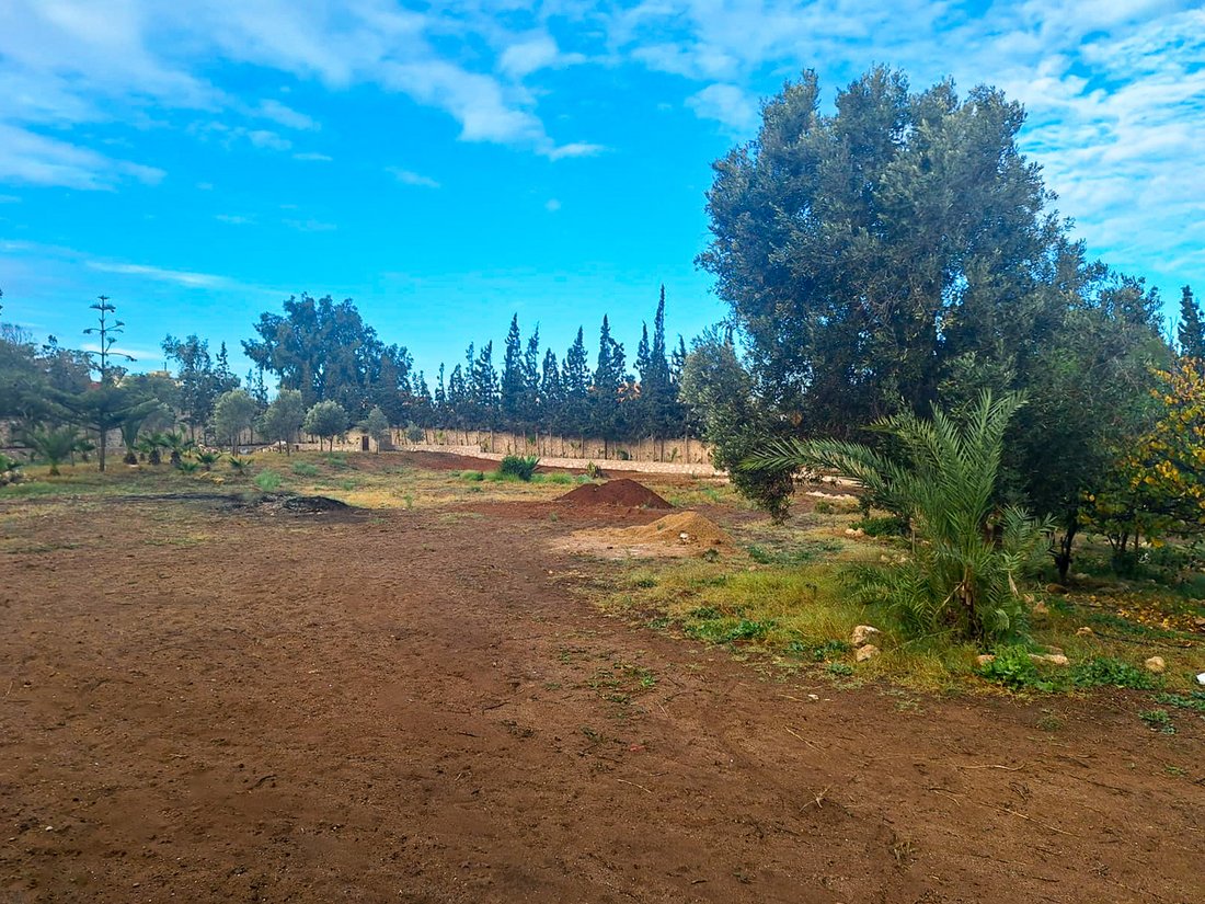 Land in Essaouira, Marrakesh-Safi, Morocco 3 - 16358450