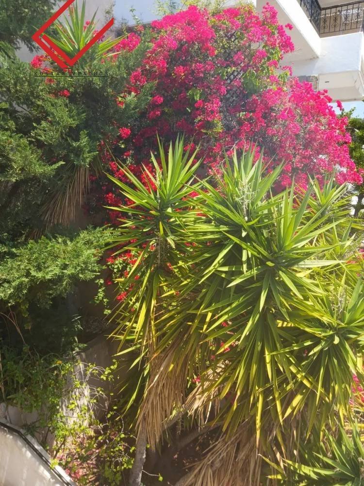 Apartment in Vouliagmeni, Attica, Greece 1 - 16358772