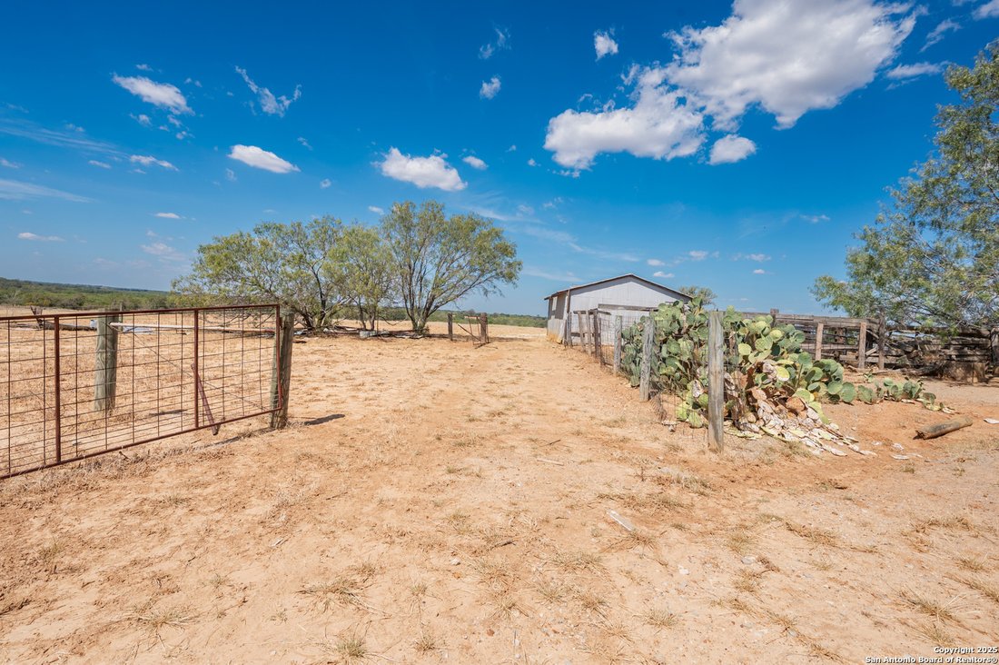 Farm Ranch in Floresville, Texas, United States 3 - 16363366