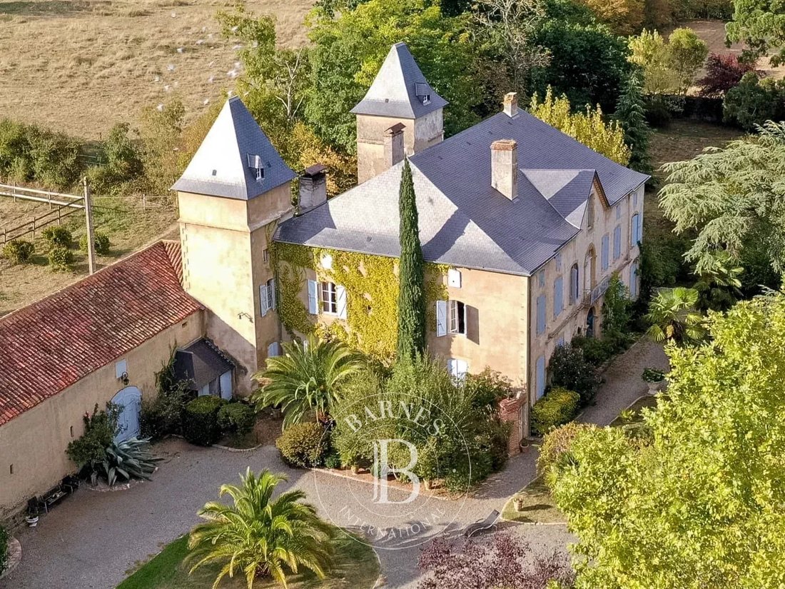 Castle in Maubourguet, Occitania, France 2 - 16361839
