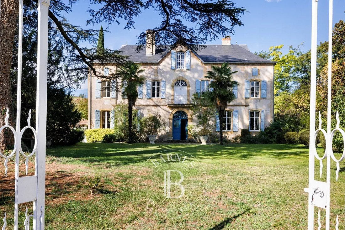 Castle in Maubourguet, Occitania, France 3 - 16361839