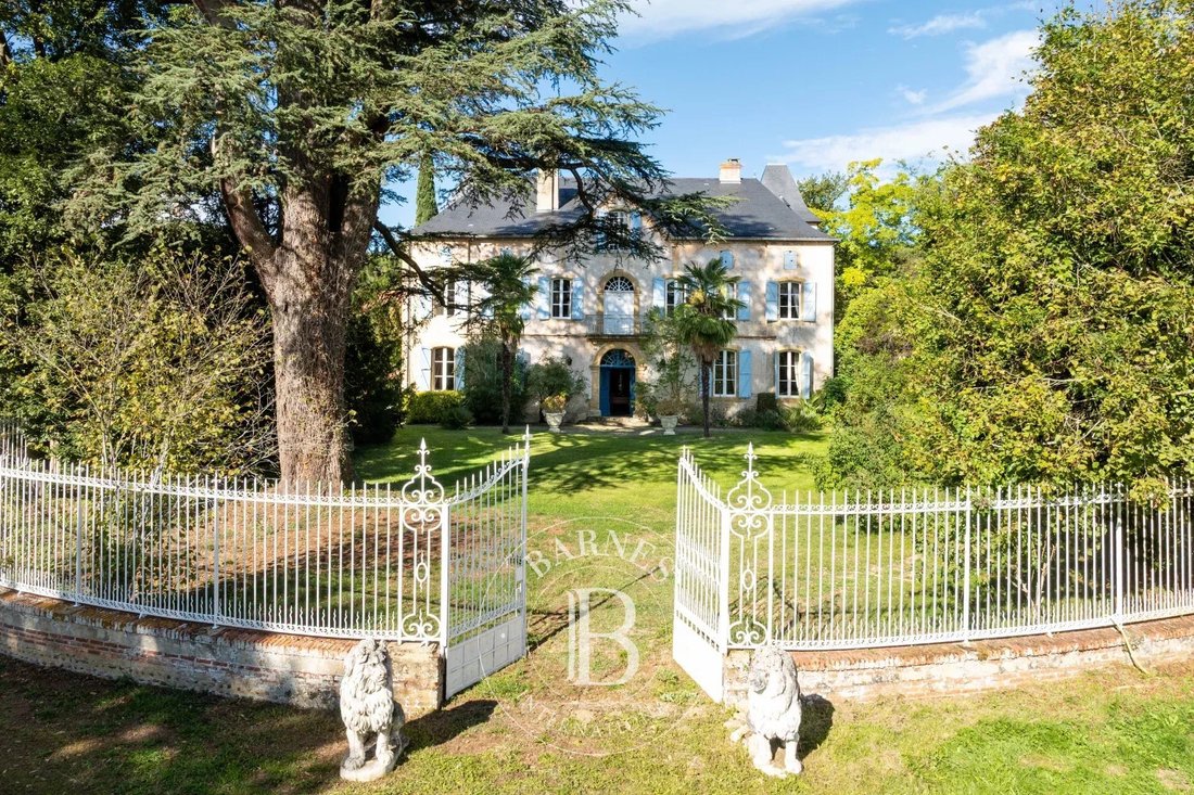 Castle in Maubourguet, Occitania, France 5 - 16361839
