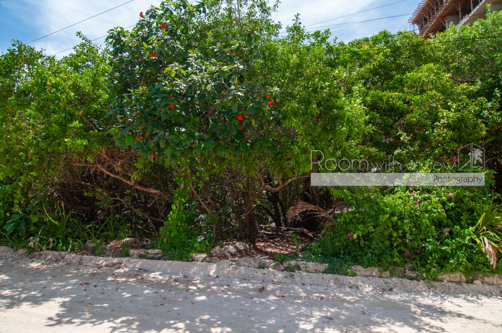 Terreno a Alma Tulum Hotel, Quintana Roo, Messico 3 - 15937105