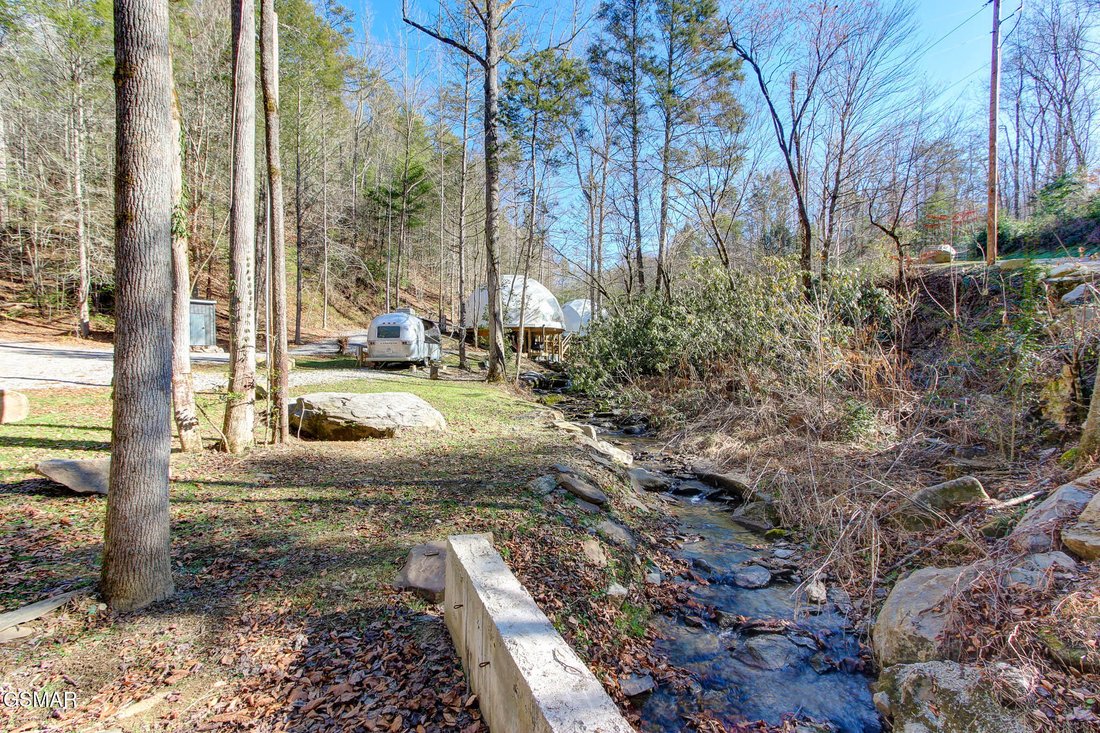 Land in Cosby, Tennessee, United States 3 - 16365793