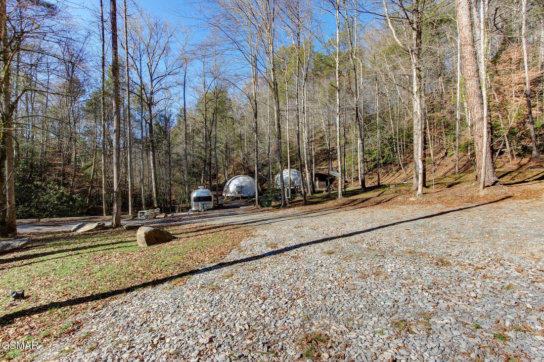 Land in Cosby, Tennessee, United States 5 - 16365793