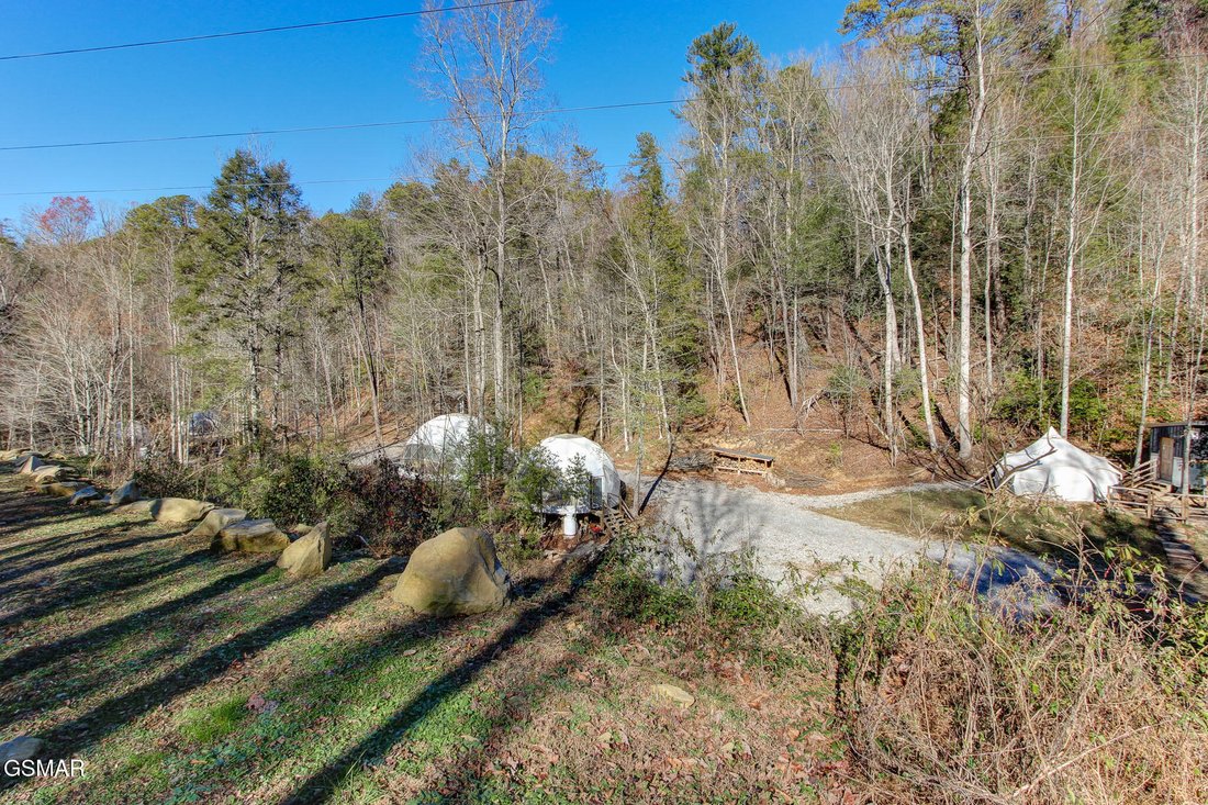 Land in Cosby, Tennessee, United States 2 - 16365793