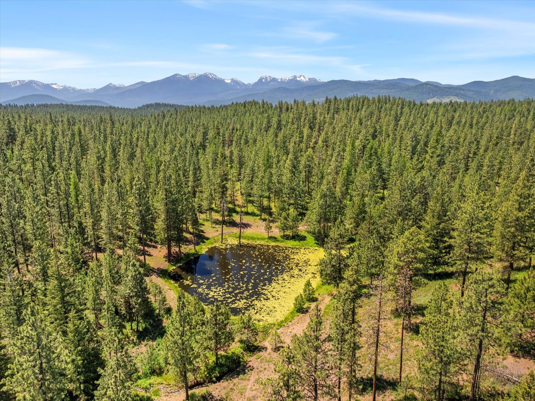 House in North Powder, Oregon, United States 5 - 16368254