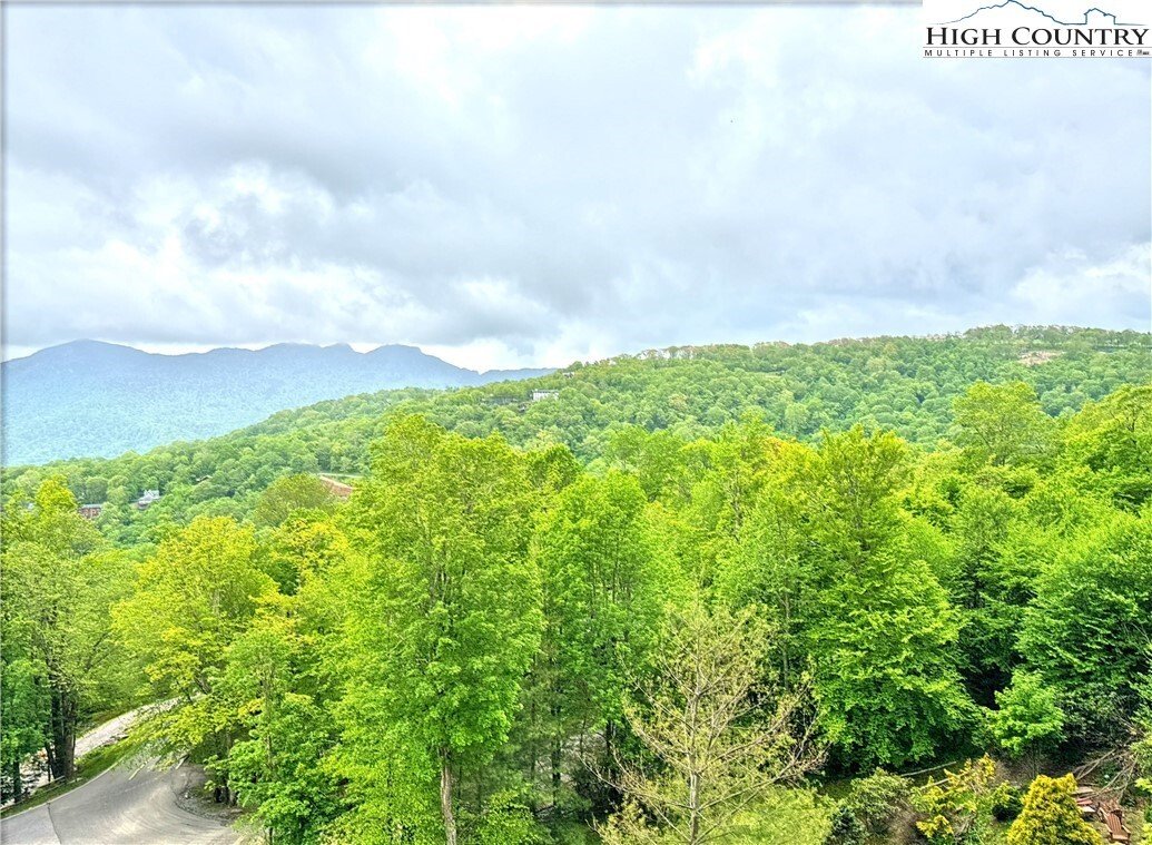 Condo in Banner Elk, North Carolina, United States 1 - 16370883