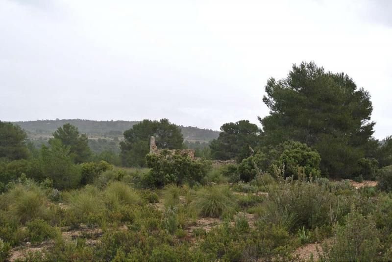 Terrain à Yecla, Murcie, Espagne 2 - 16382715