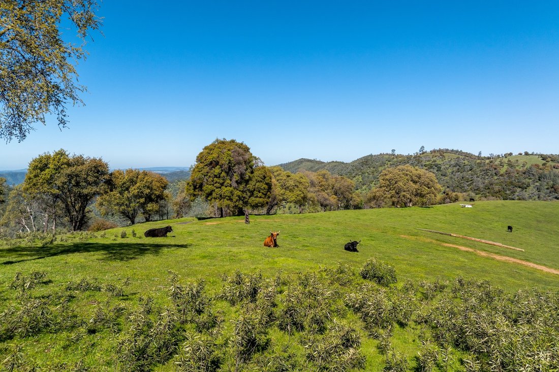 House in Groveland, California, United States 3 - 16367946