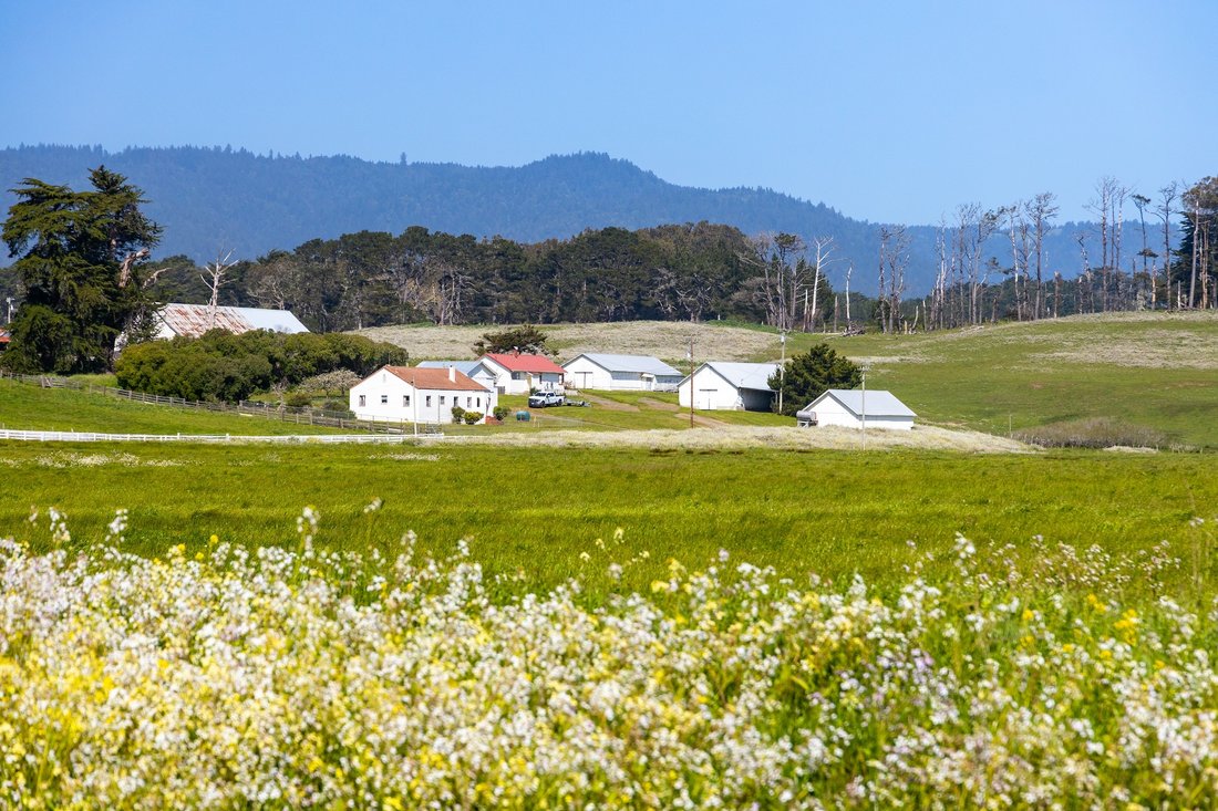 House in Point Arena, California, United States 1 - 16367395
