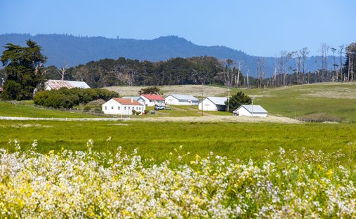 House in Point Arena, California, United States 1