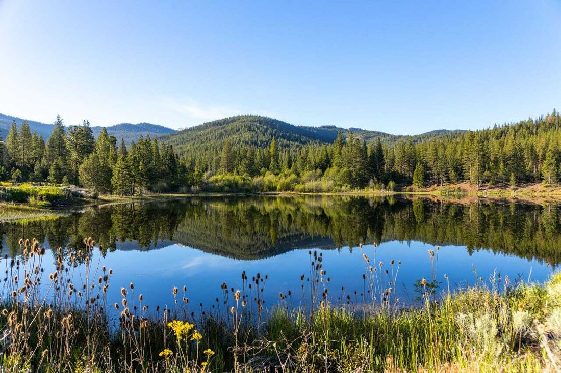 House in Gazelle, California, United States 5 - 16367984