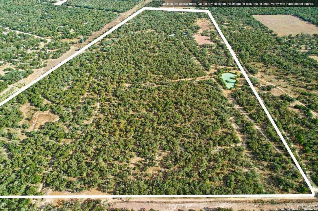 House in Seguin, Texas, United States 3 - 16378812