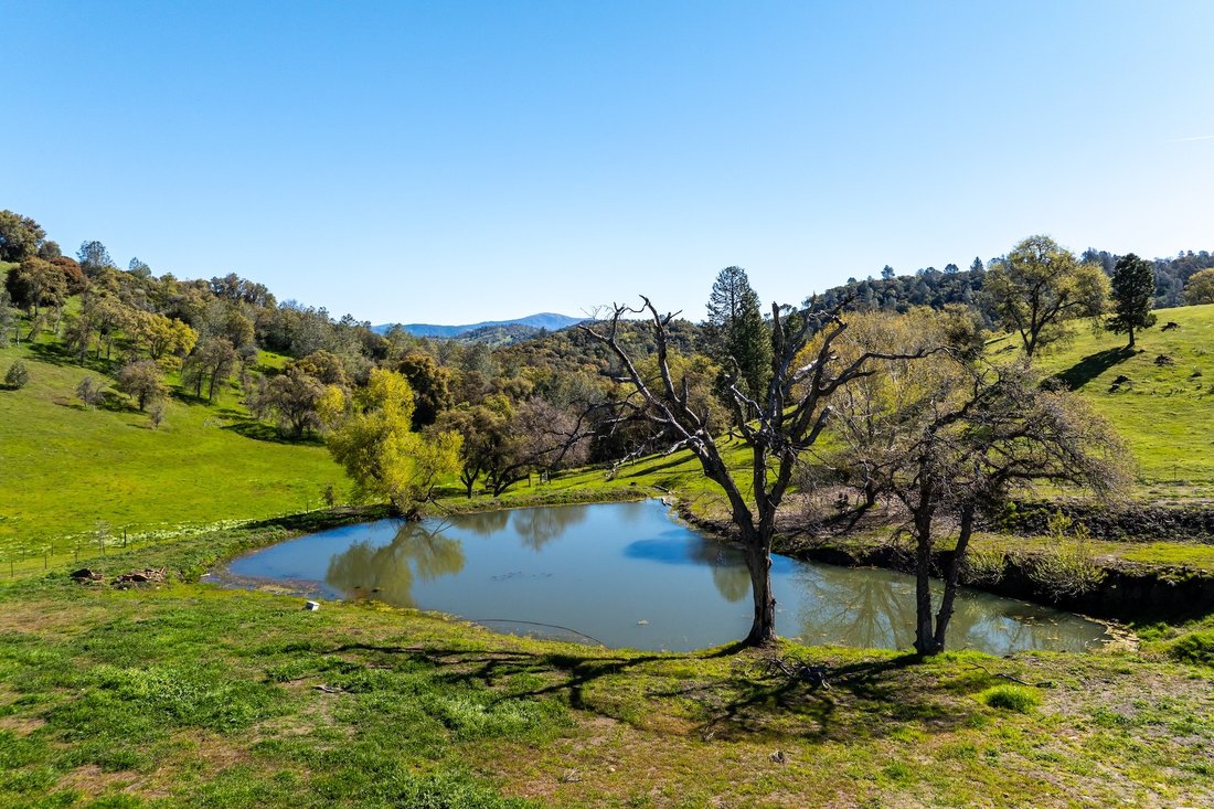 House in Groveland, California, United States 2 - 16367946