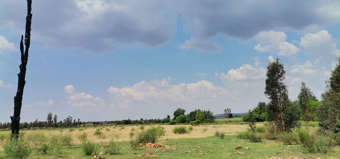 Land in Vanderbijlpark, Gauteng, South Africa 5 - 16382251