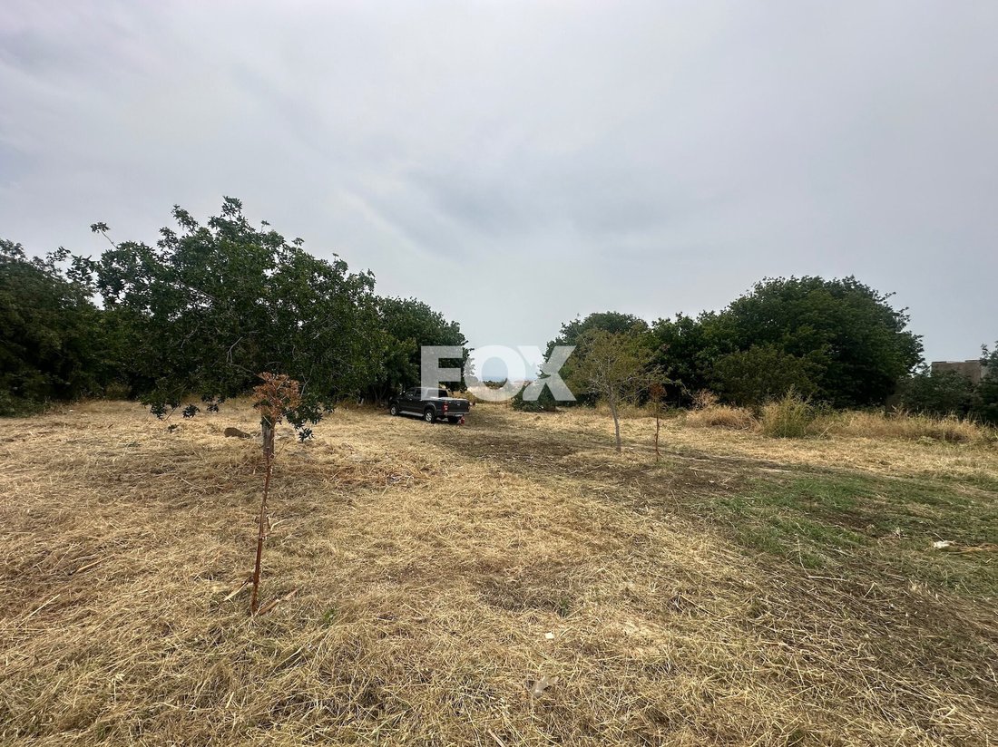Land in Emba, Paphos, Cyprus 4 - 16379541
