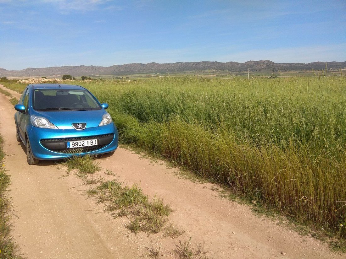 Land in Yecla, Murcia, Spanien 5 - 16382713