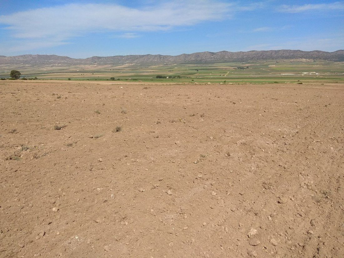 Land in Yecla, Murcia, Spanien 2 - 16382713