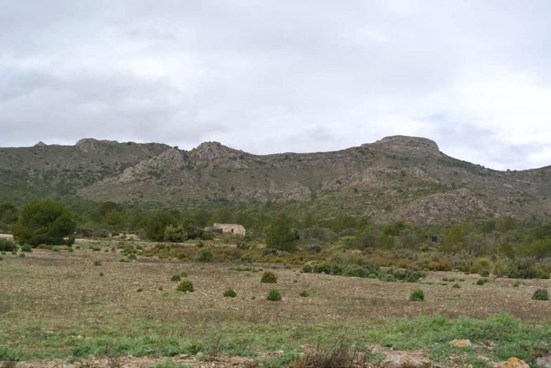 Terrain à Yecla, Murcie, Espagne 1 - 16382715