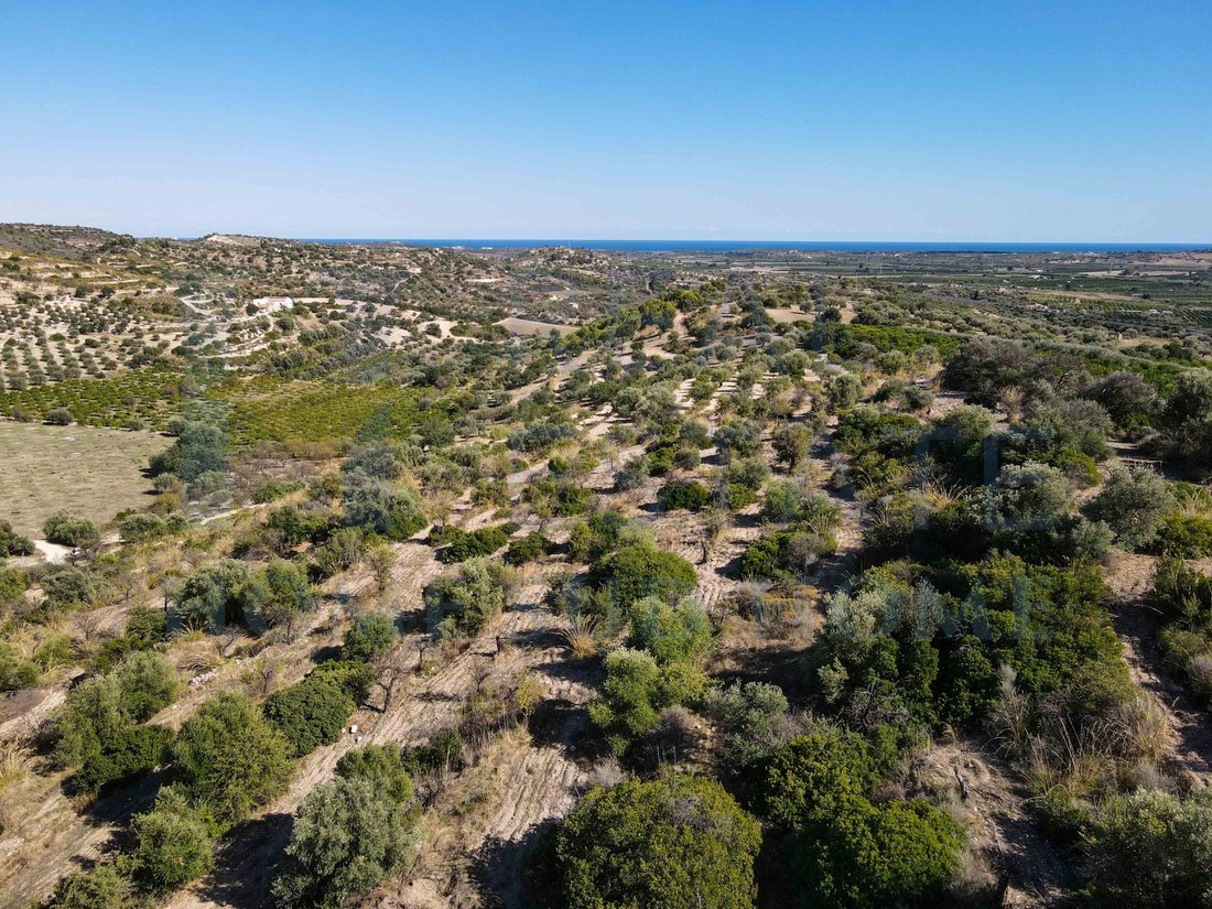 Land in Center, Noto, Sicily 5 - 16368411