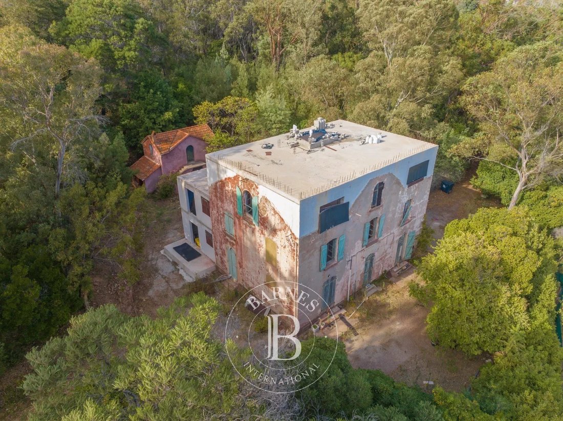 Villa in French Riviera, Provence-Alpes-Côte d'Azur, France 4 - 16369230
