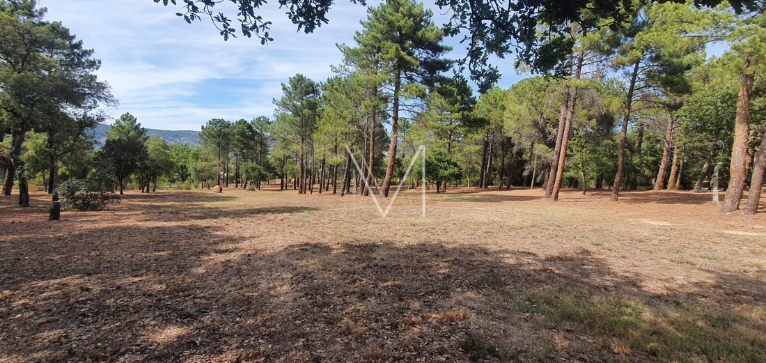 Finca en Le Plan-de-la-Tour, Provenza-Alpes-Costa Azul, Francia 3 - 16368958