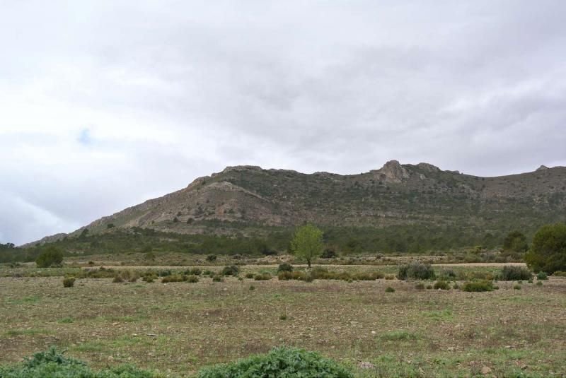 Terrain à Yecla, Murcie, Espagne 4 - 16382715
