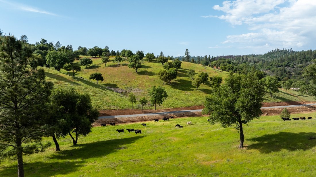 House in Adin, California, United States 5 - 16368016