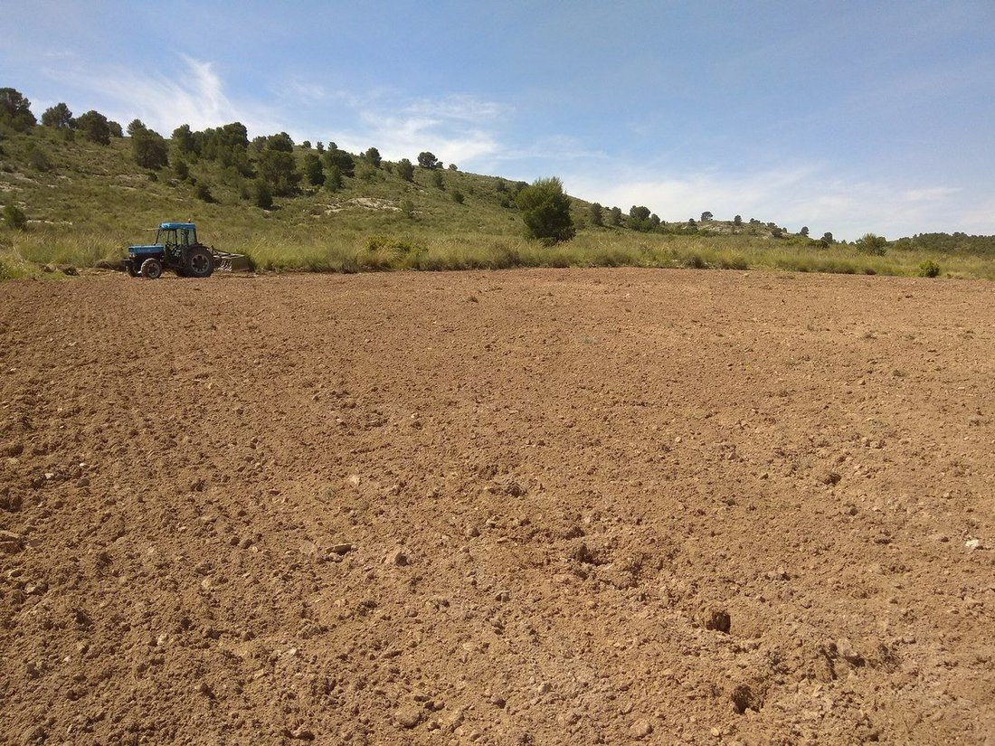 Land in Yecla, Murcia, Spanien 1 - 16382713