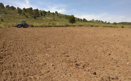 Land in Yecla, Murcia, Spanien 1