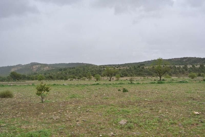 Terrain à Yecla, Murcie, Espagne 5 - 16382715