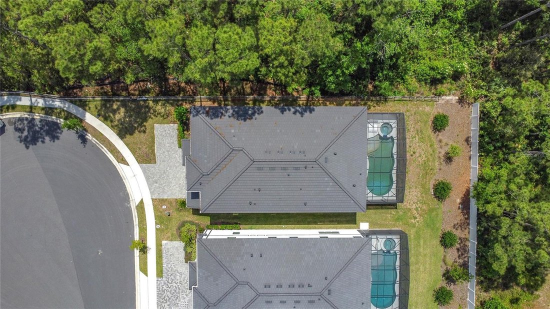 House in Davenport, Florida, United States 4 - 16366779
