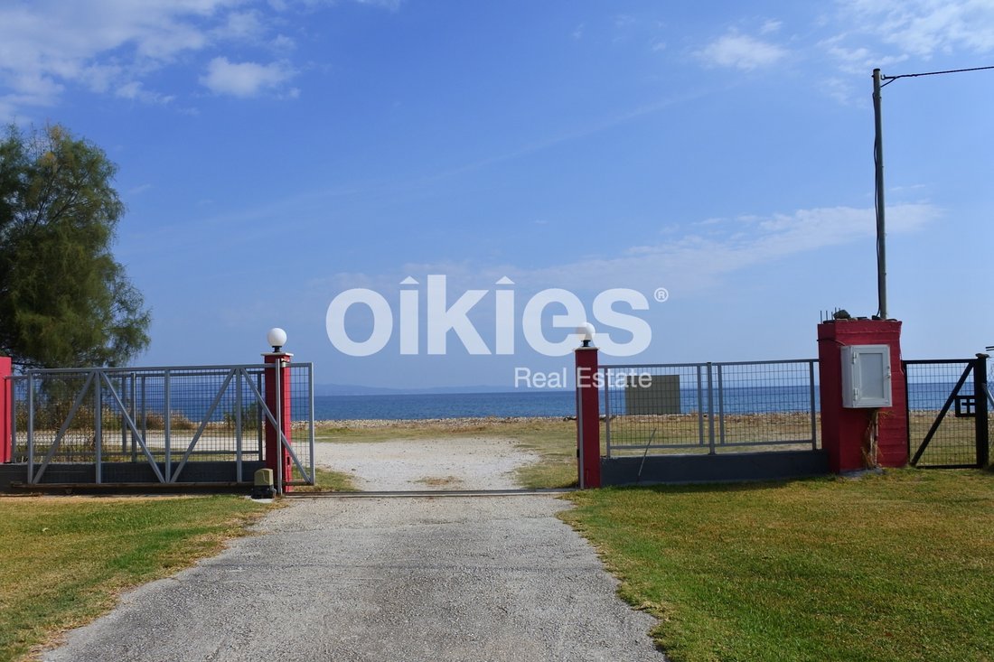 Land in Sithonia, Macedonia and Thrace, Greece 3 - 16379619