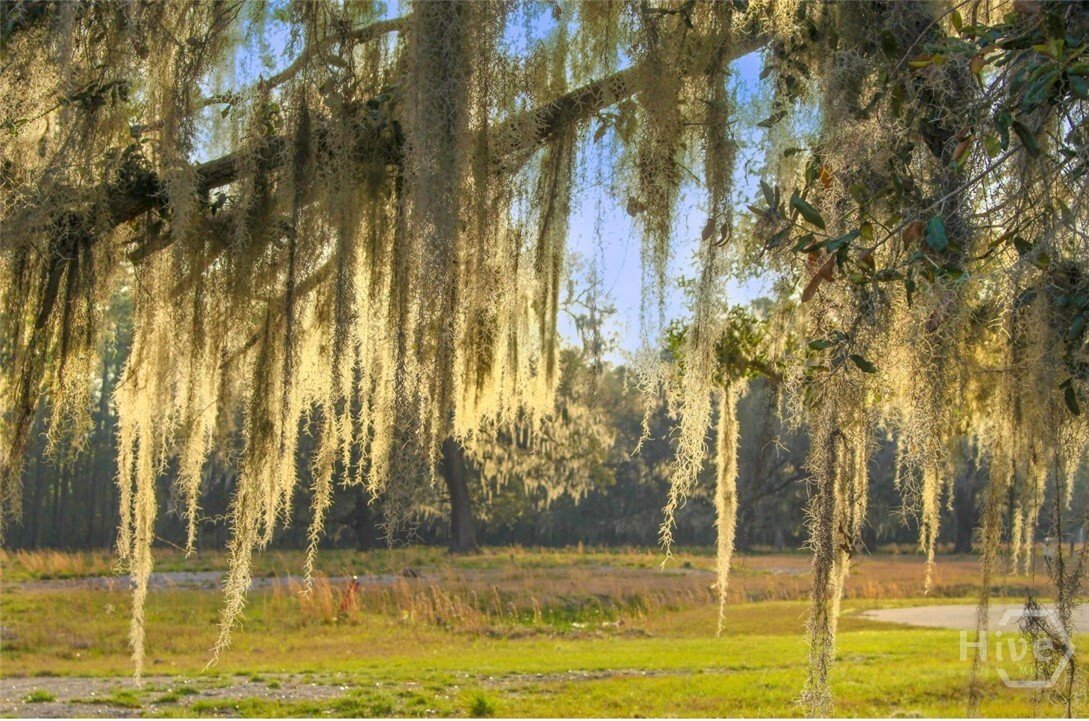 House in Savannah, Georgia, United States 2 - 16378651