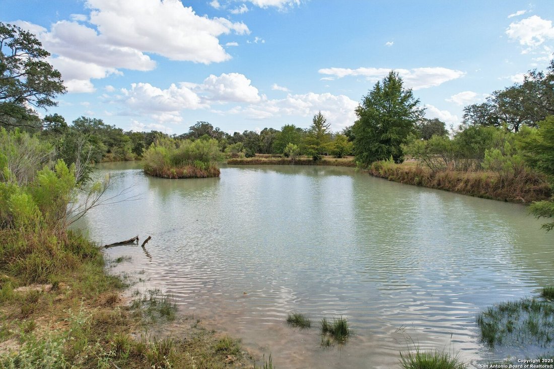 House in Seguin, Texas, United States 1 - 16378812
