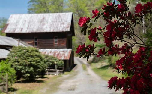 House in Elkin, North Carolina, United States 1