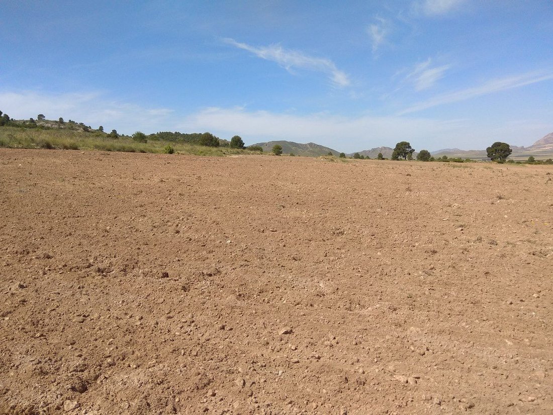 Land in Yecla, Murcia, Spanien 4 - 16382713