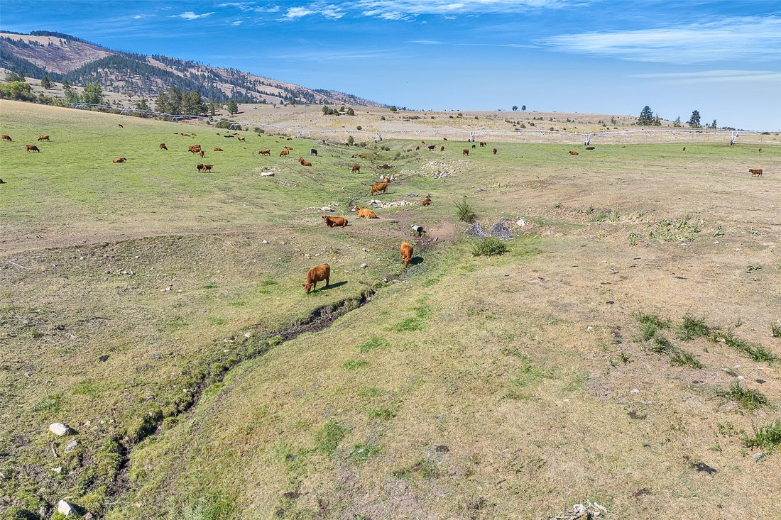 Land in Florence, Montana, United States 2 - 16386328