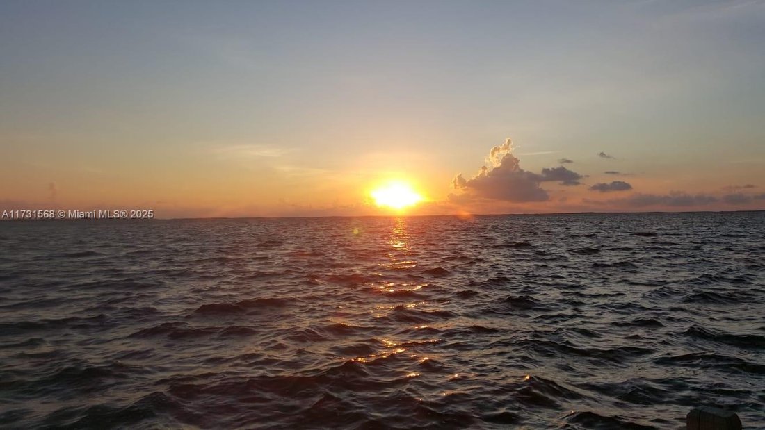 House in Key Largo, Florida, United States 3 - 16366977
