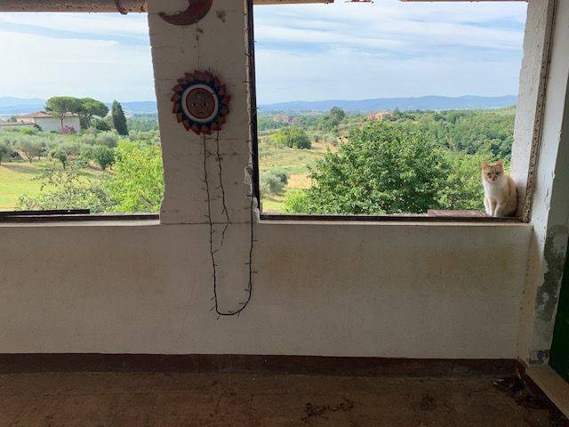 Otros en Siena, Toscana, Italia 5 - 16372059