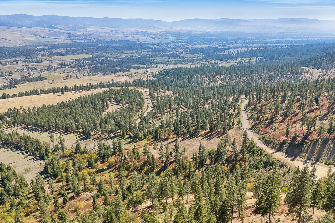 Land in Florence, Montana, United States 5 - 16386332