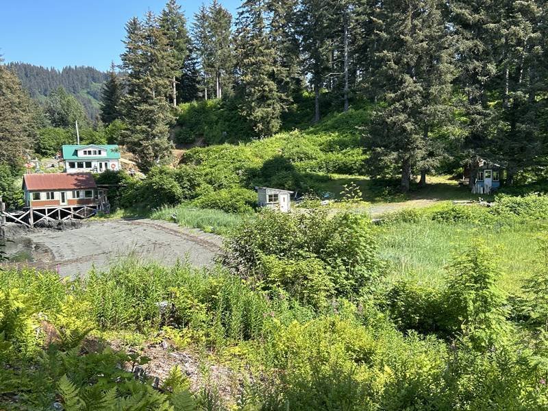 House in Seldovia, Alaska, United States 5 - 16366937