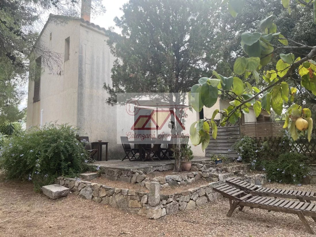 Villa in Monticello, Corsica, France 4 - 16368748