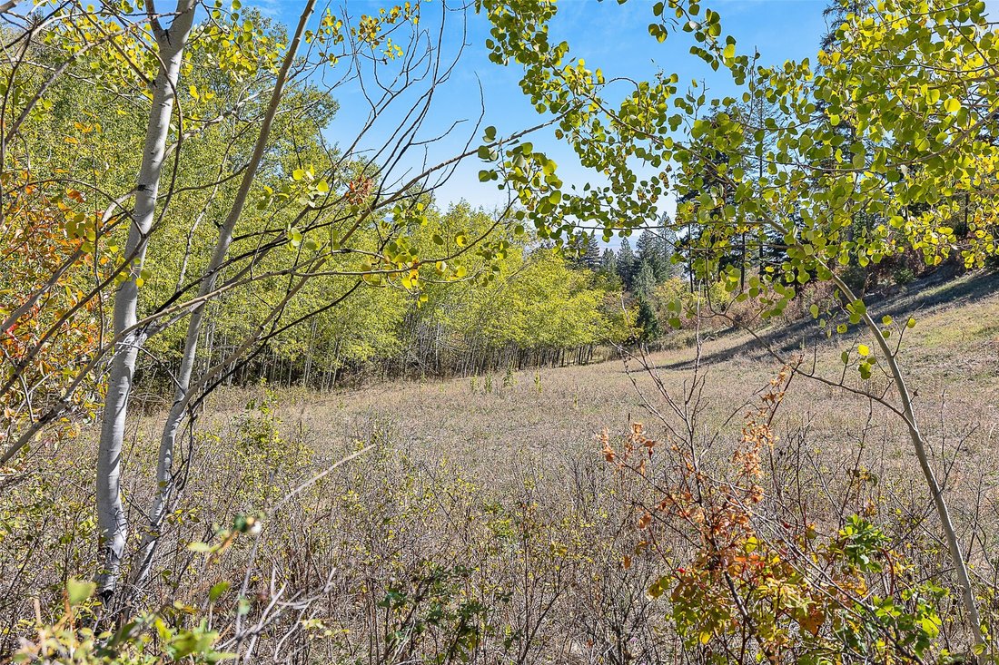 Land in Florence, Montana, United States 2 - 16386330