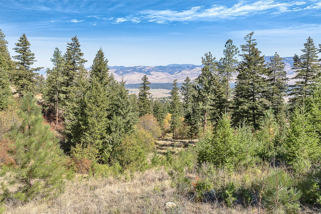 Land in Florence, Montana, United States 2 - 16386329