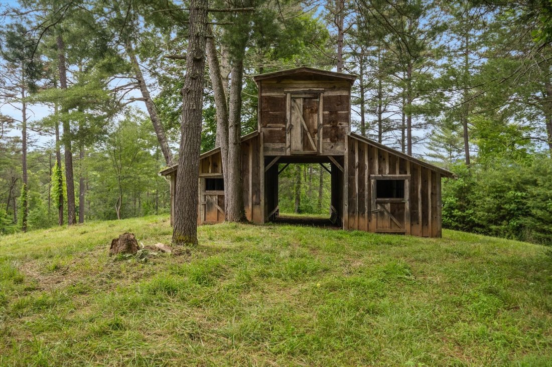 House in Mars Hill, North Carolina, United States 5 - 16367093