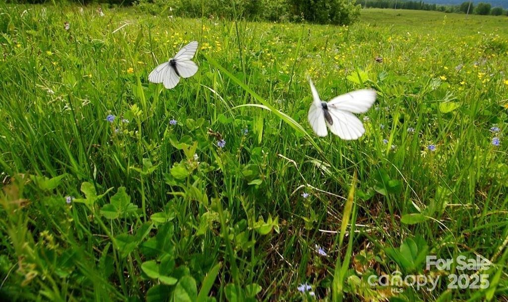 Land in Mooresville, North Carolina, United States 5 - 16381465