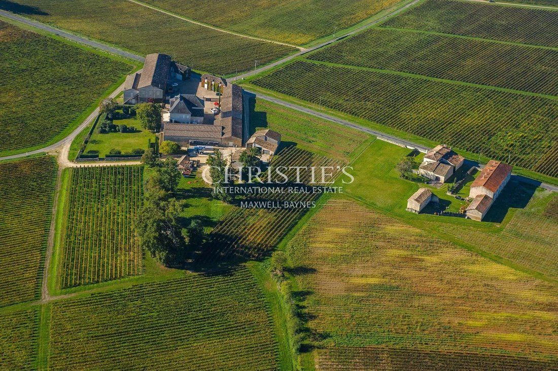 Castle in Saint-Émilion, Nouvelle-Aquitaine, France 2 - 16371738