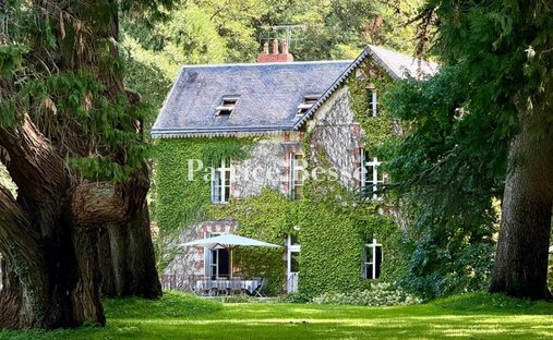 House in Richelieu, Centre-Val de Loire, France 1
